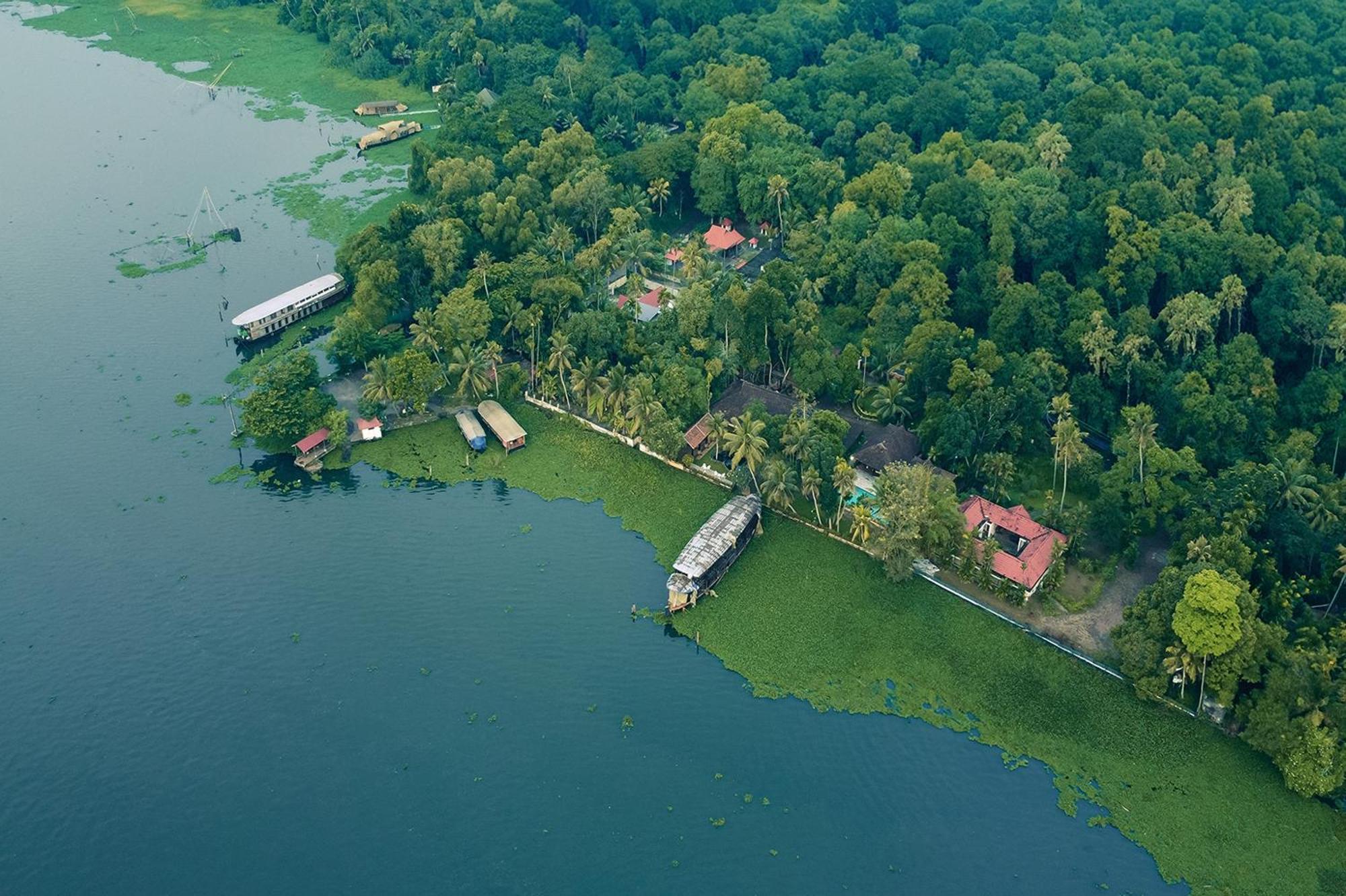 Blusalzz Villa - Muhamma, Alleppey - Kerala Alappuzha Eksteriør bilde